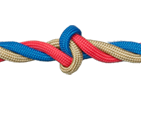 Wall Knot