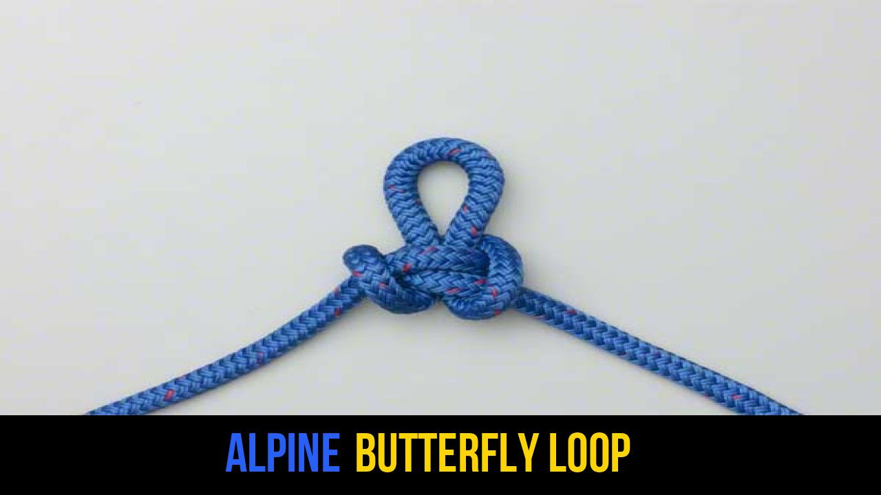 Alpine Butterfly Loop