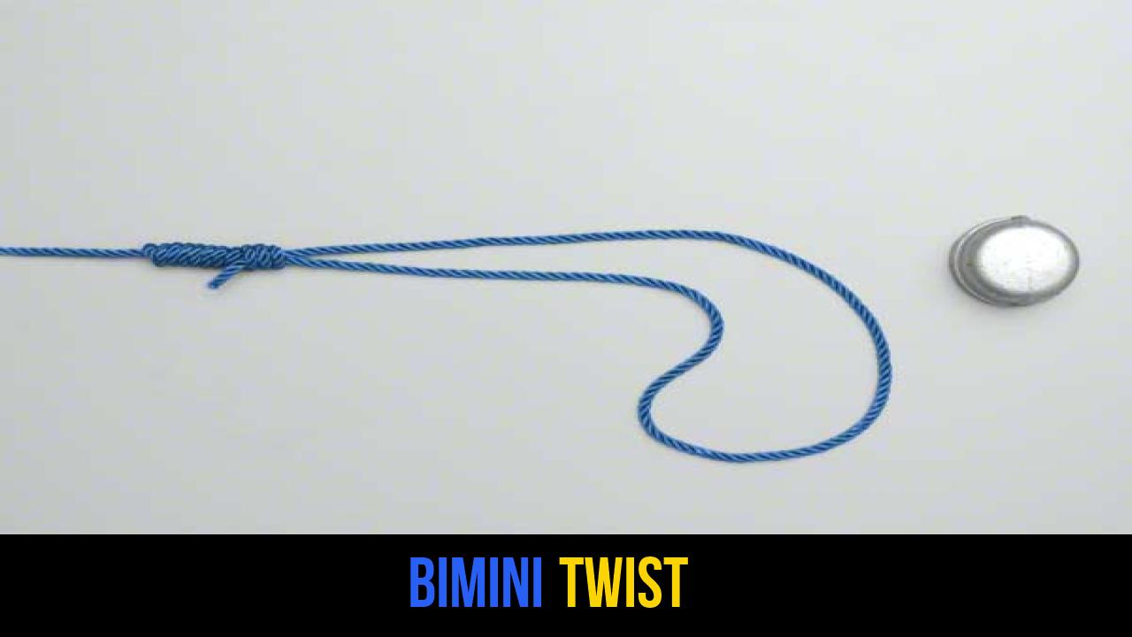 Bimini Twist