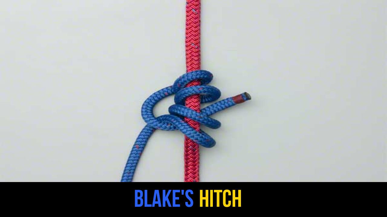 Blake's Hitch