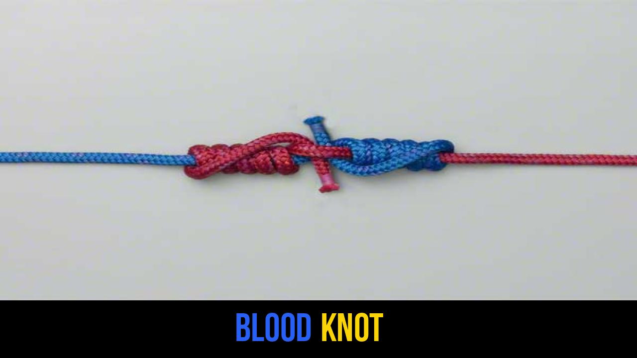 Blood Knot