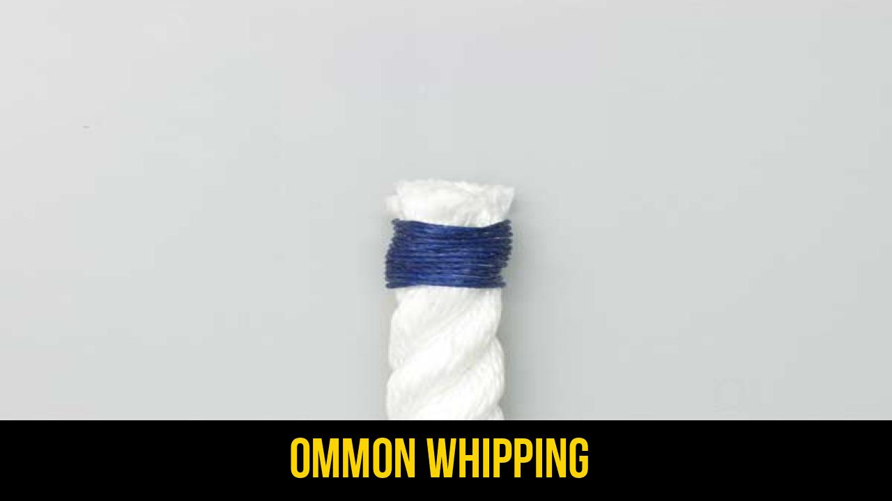 Common Whipping