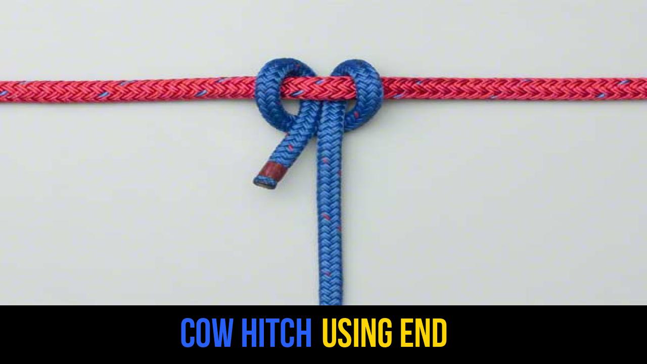 Cow Hitch Using End