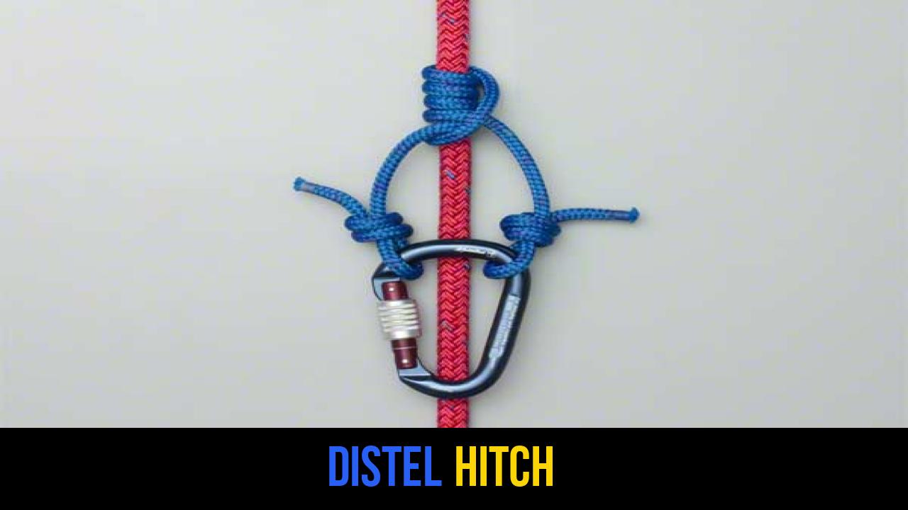 Distel Hitch