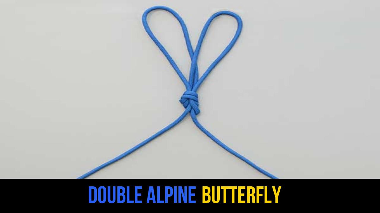 Double Alpine Butterfly