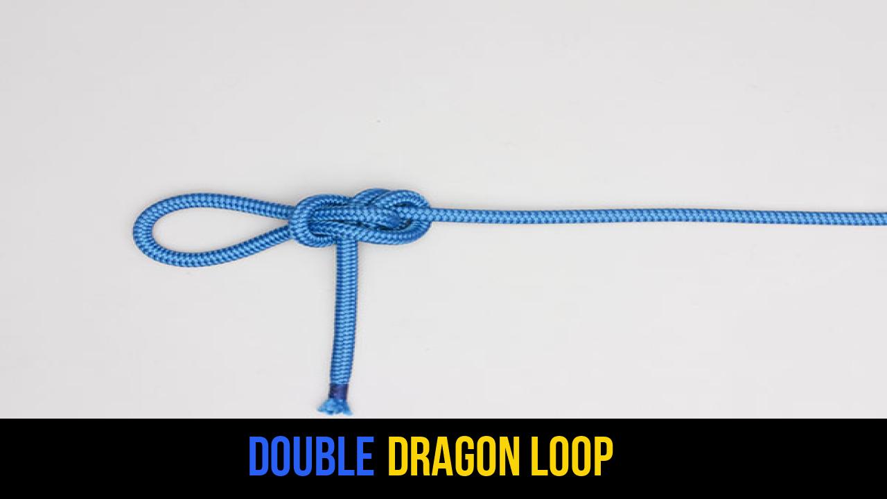 Double Dragon Loop
