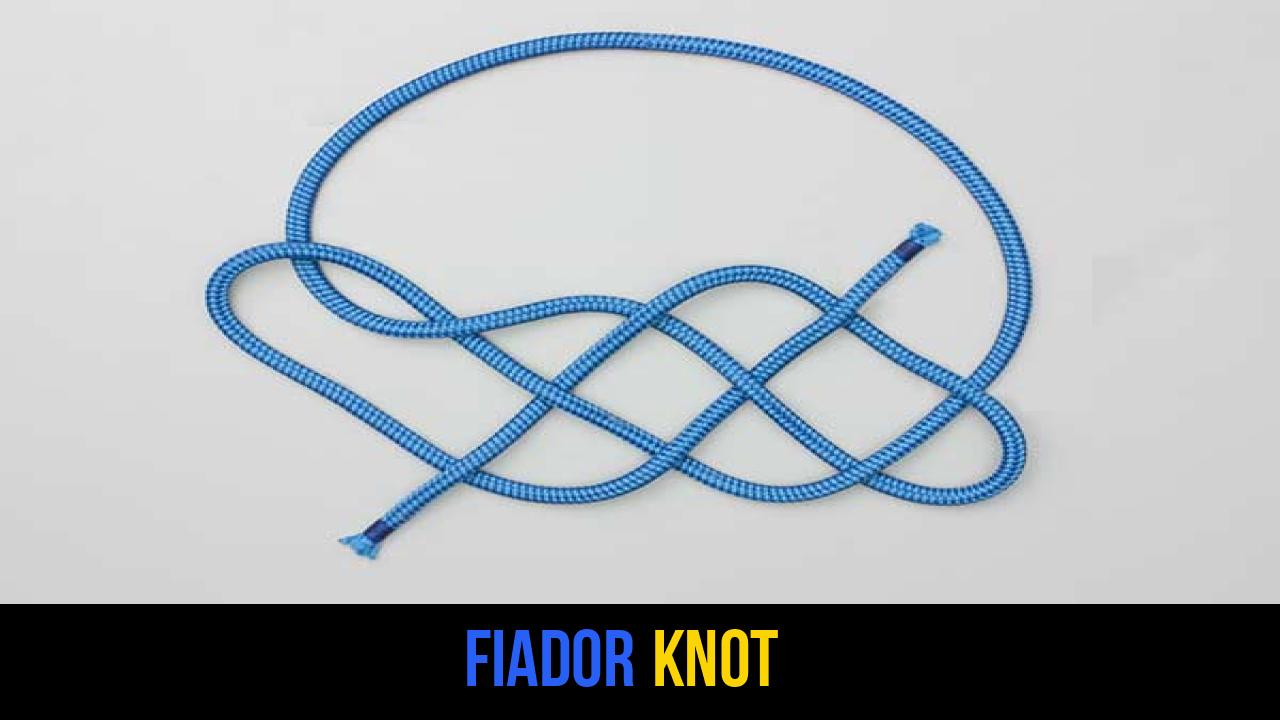 Fiador Knot