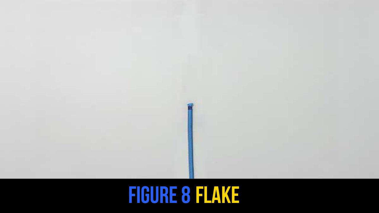Figure 8 Flake