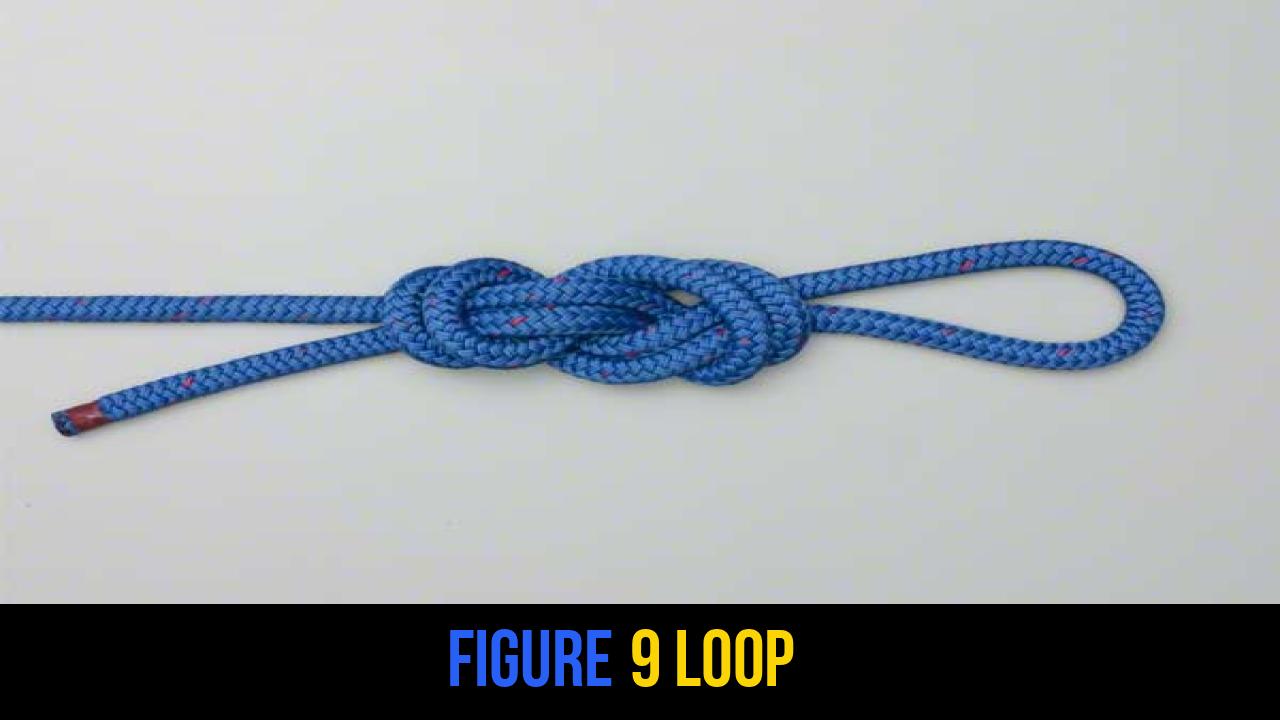 Figure 9 Loop