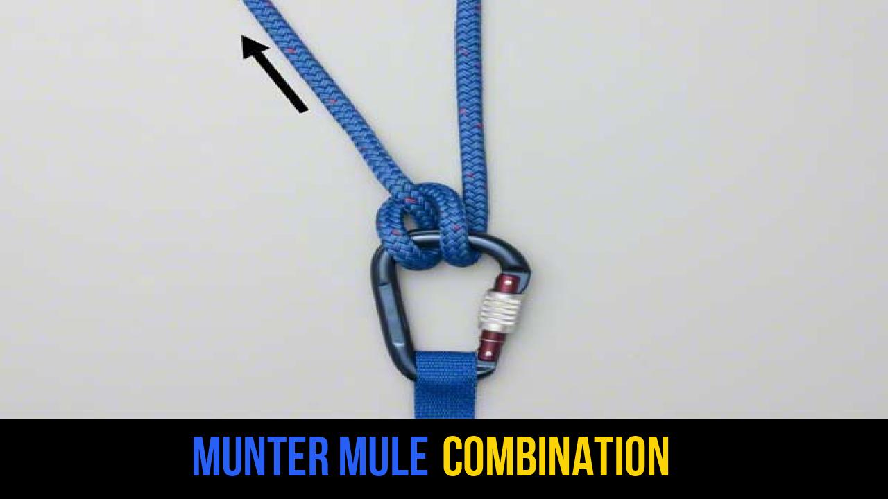 Munter Mule Combination