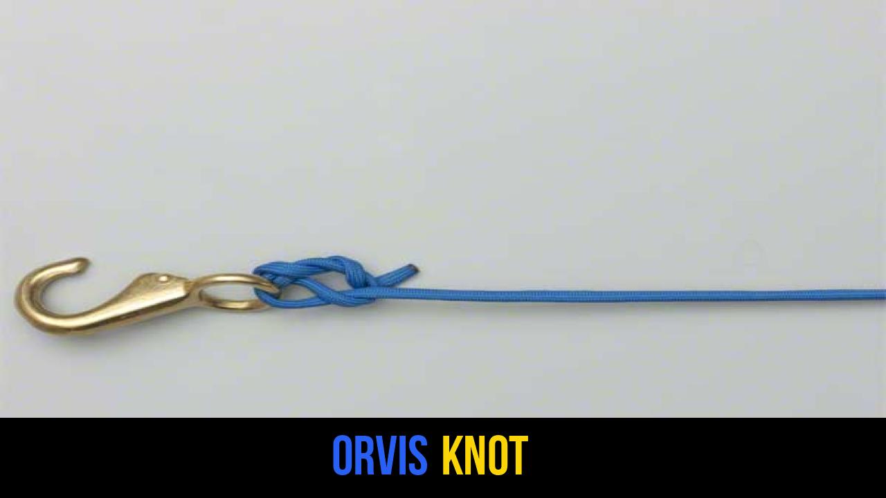 Orvis Knot
