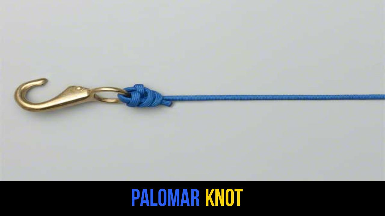 Palomar Knot