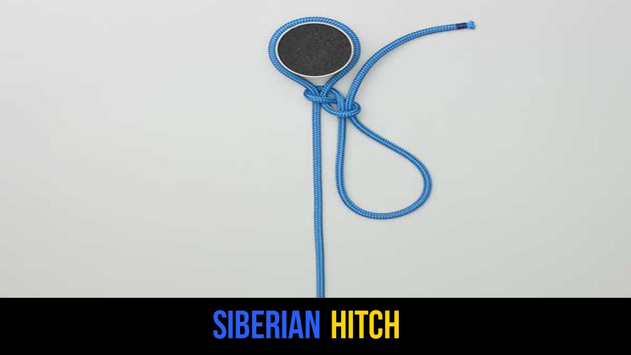 Siberian Hitch