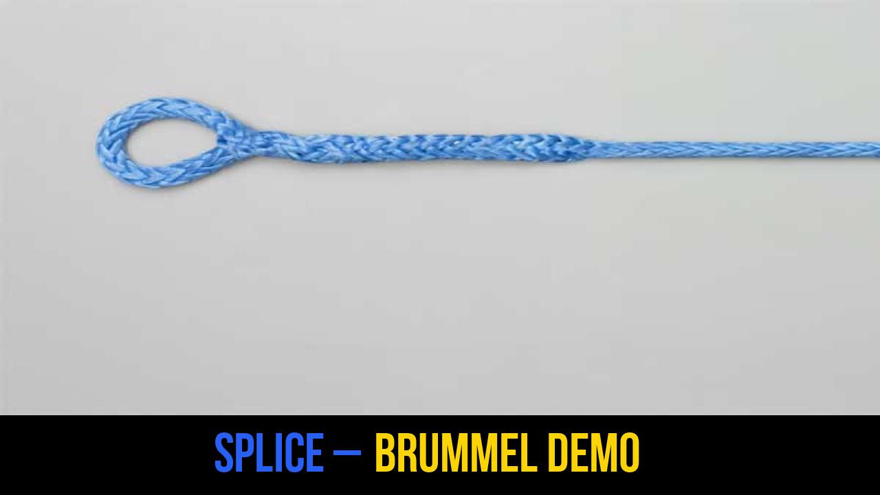 Splice – Brummel Demo