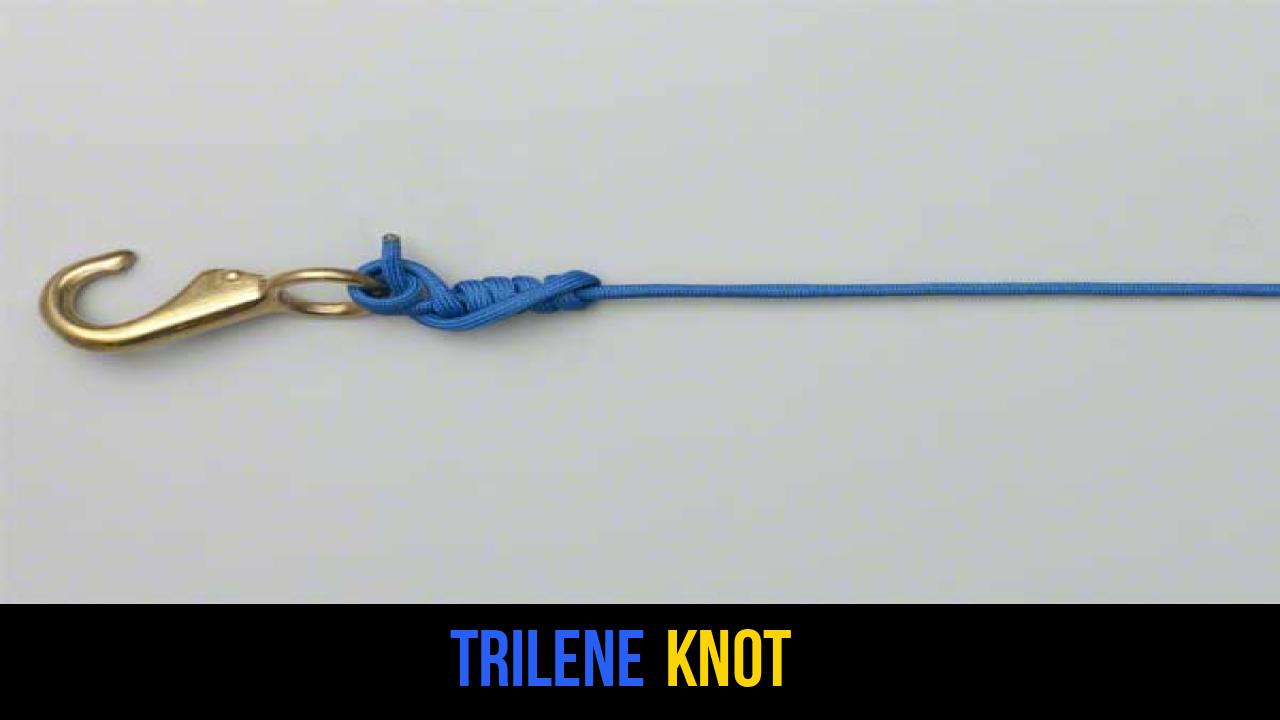 Trilene Knot