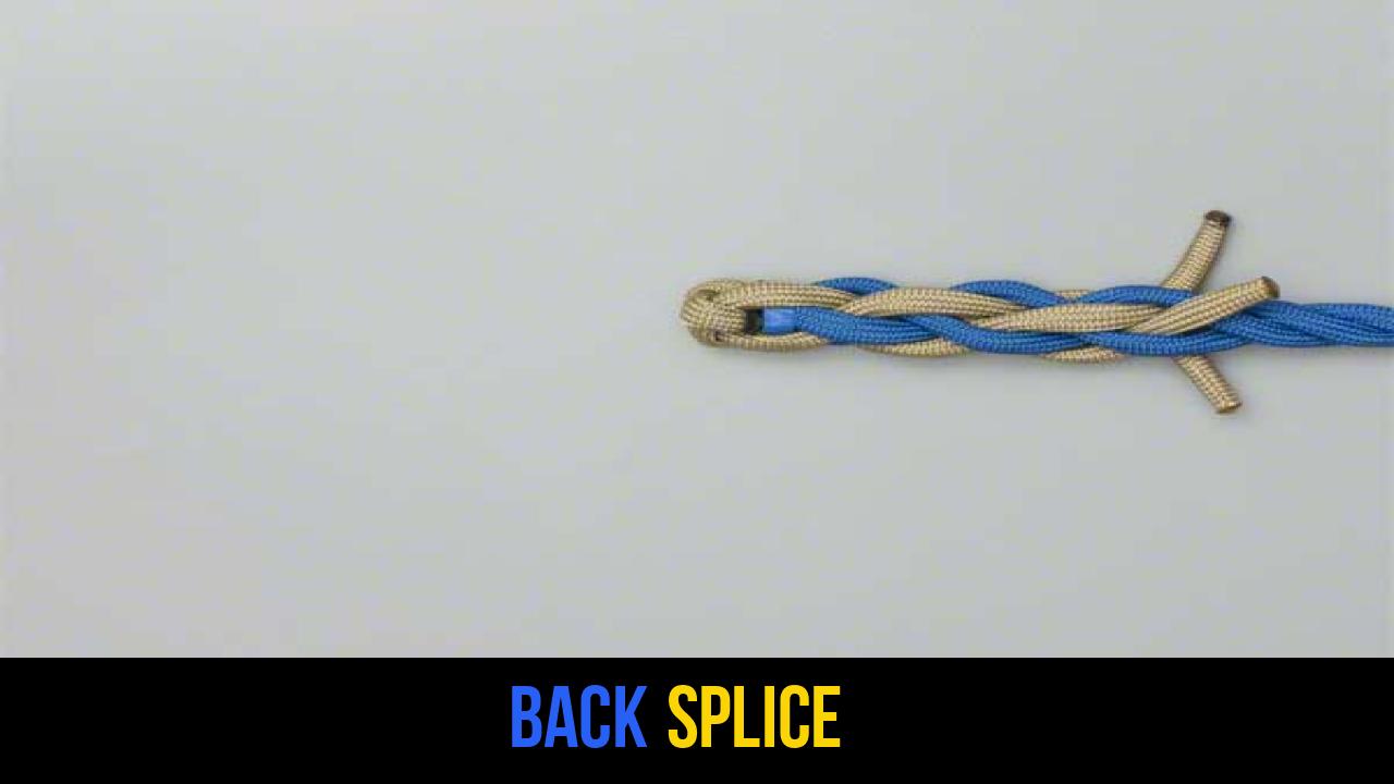 Back Splice