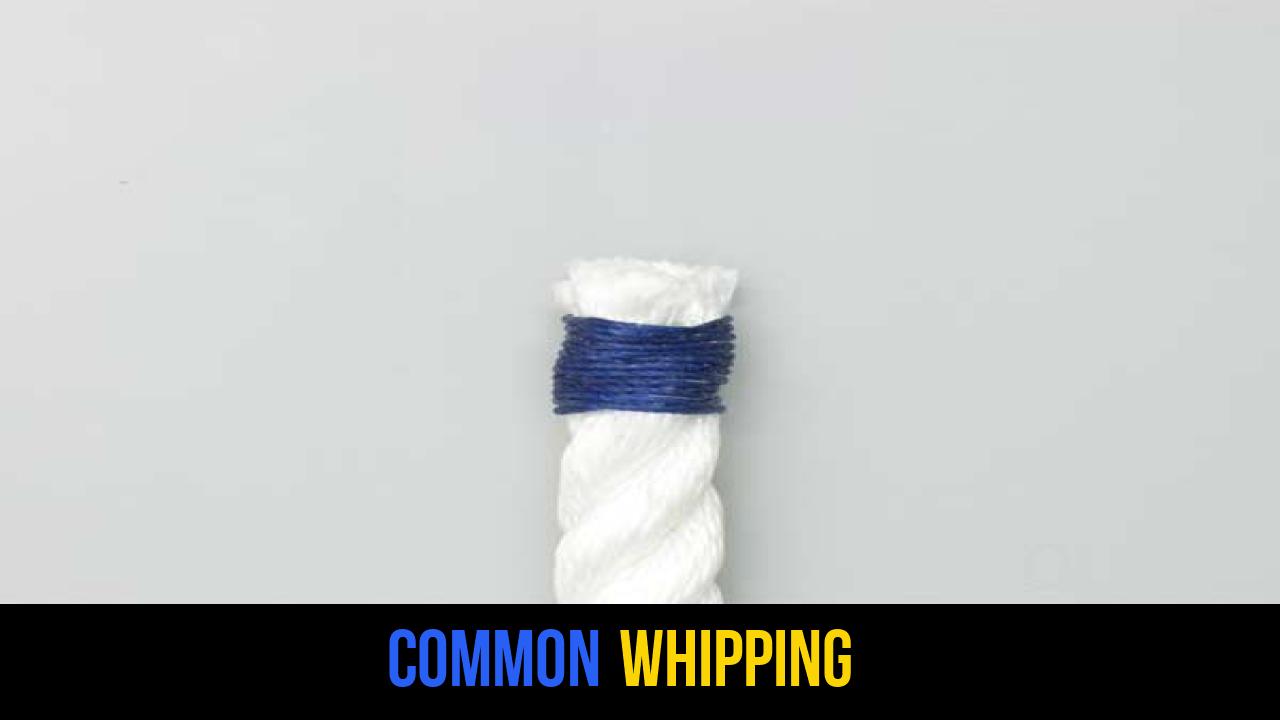 Common Whipping